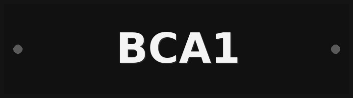 Photo of plate BCA1